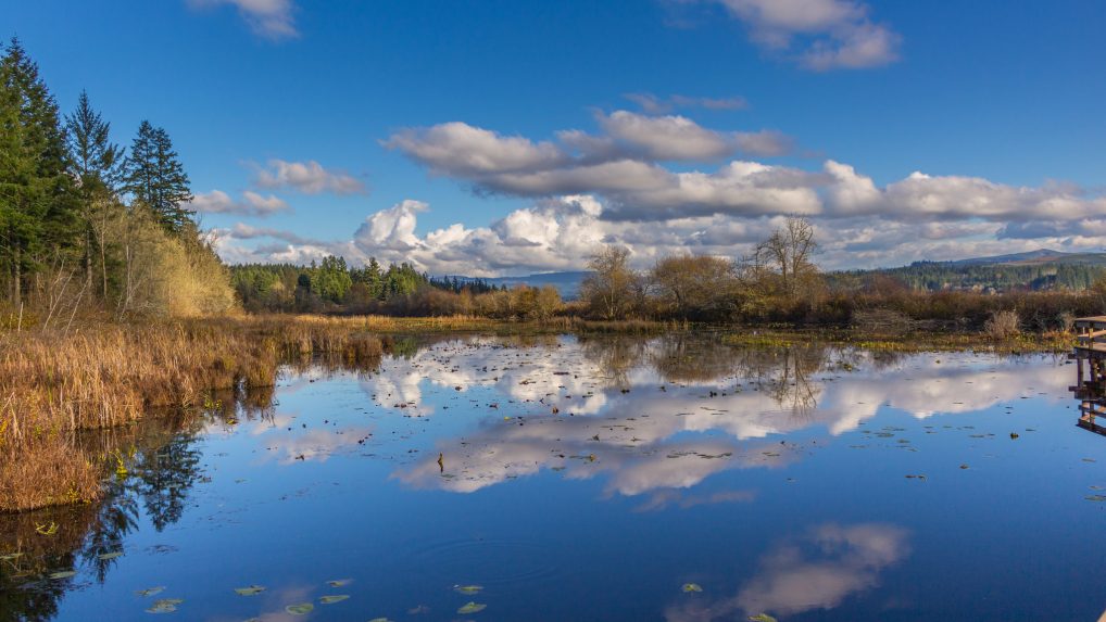 Joseph Gruber © Creative Commons