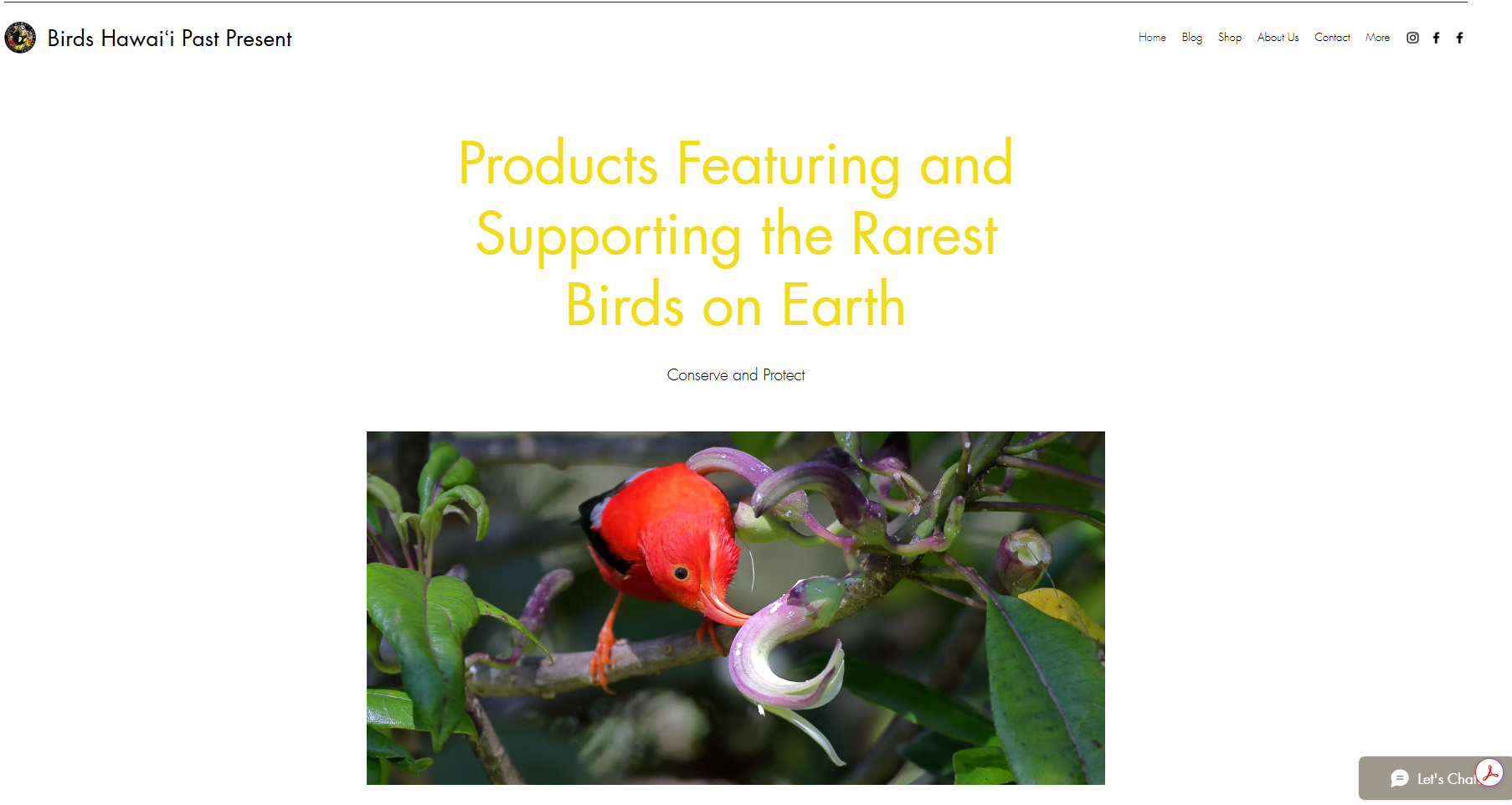Bret's Hawaiian bird advocacy page, where he shares about native species. Learn more at: https://www.birdshawaiipastpresent.com/
