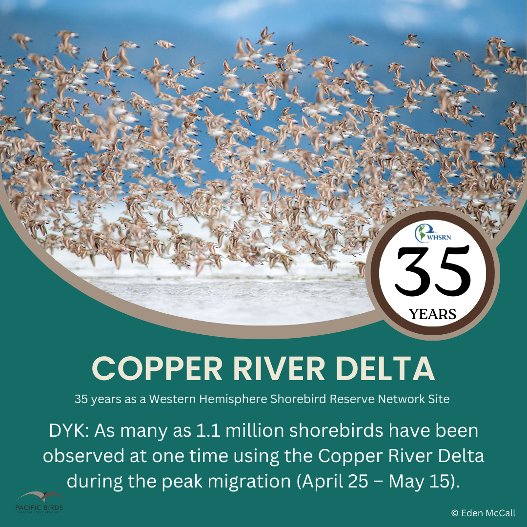 Green Simple Did You Know Instagram Post (1)