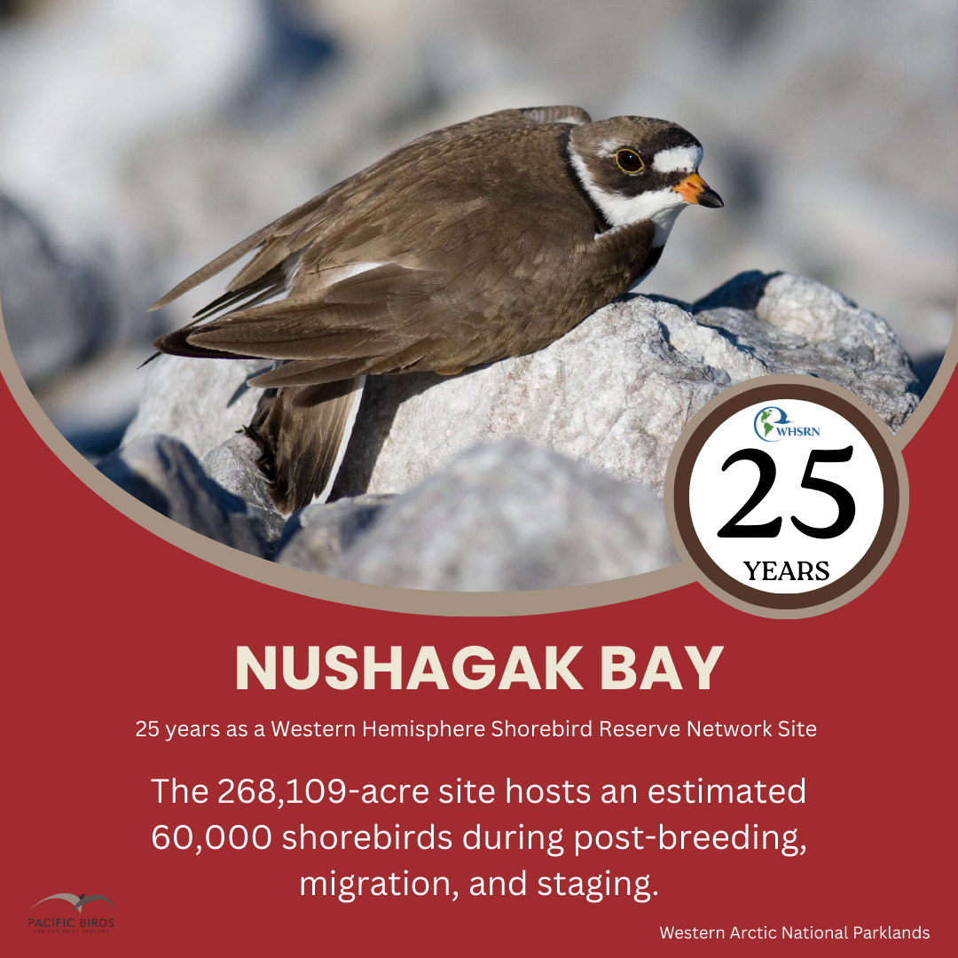 Nushagak