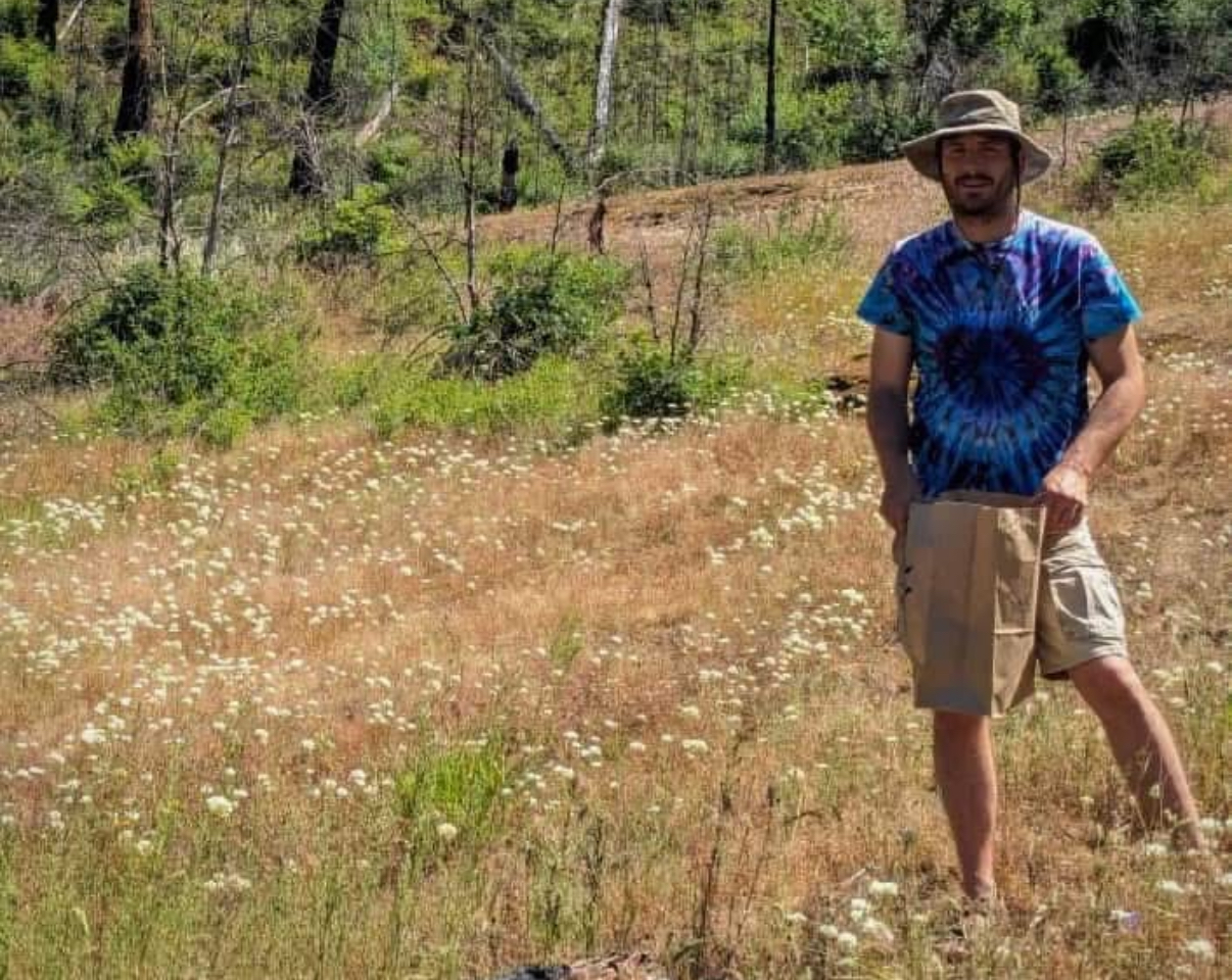 Eric collecting native seeds in an oak meadow. Photo courtesy of Eric Stauder.