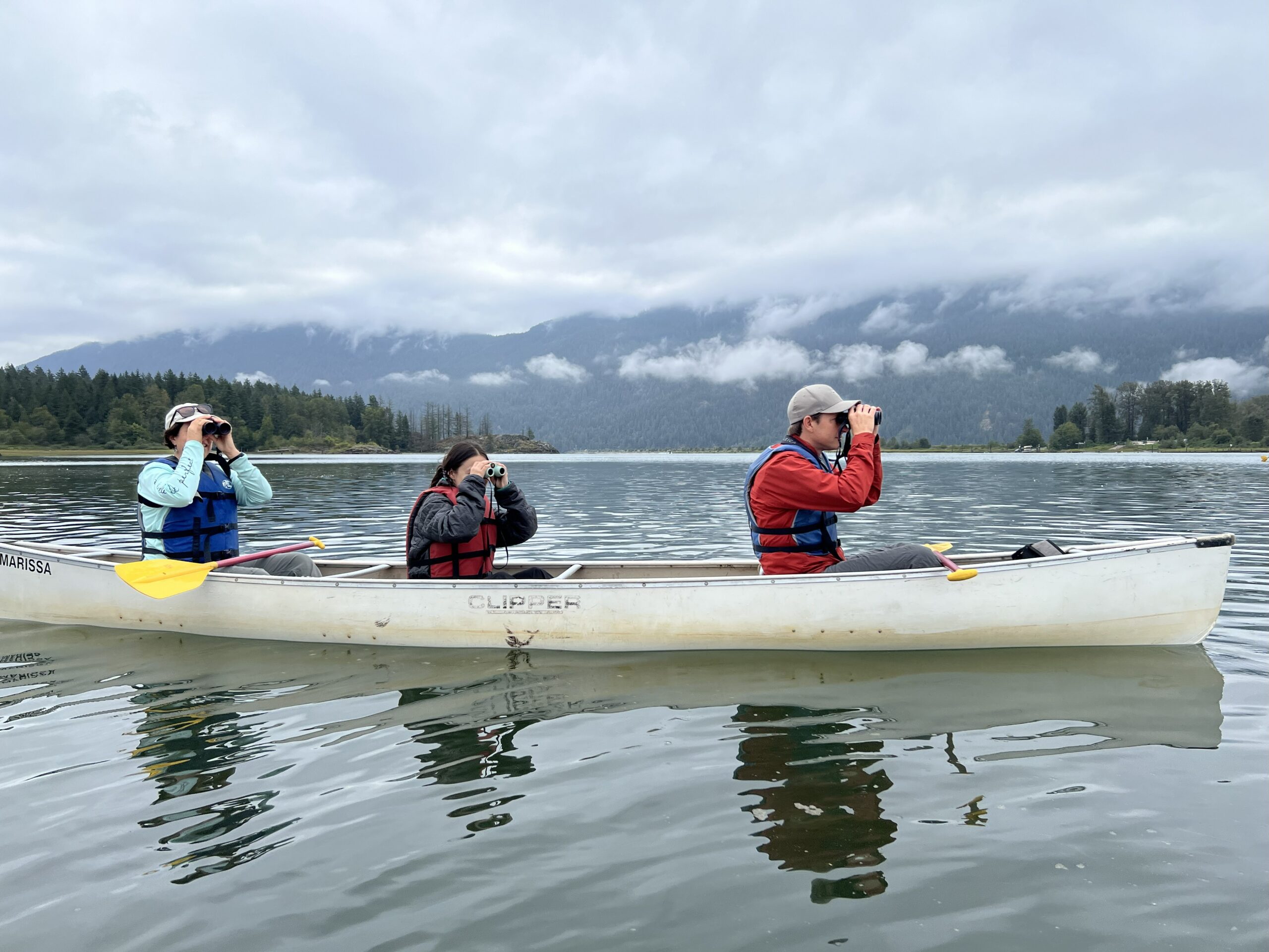 Birders peer through binoculars while in a canoe. Photo: Laura Farwell