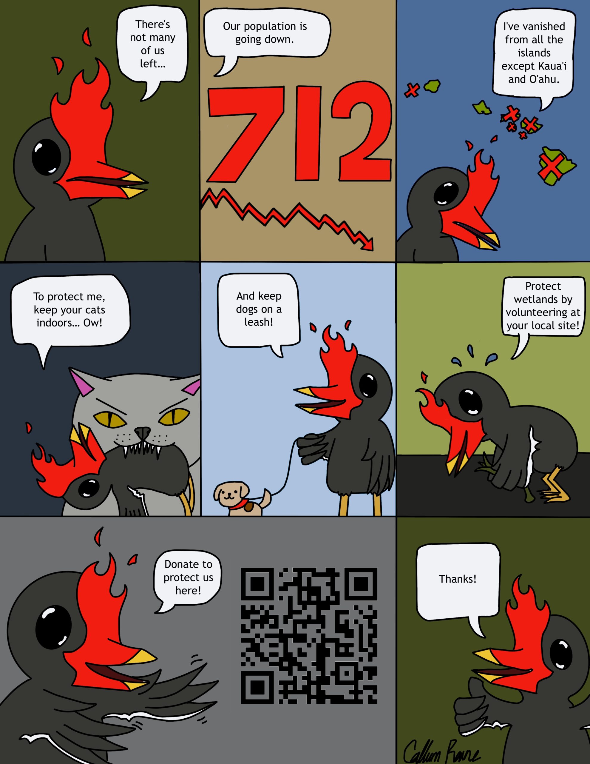 ʻAlae ʻula cartoon by Callum Raine