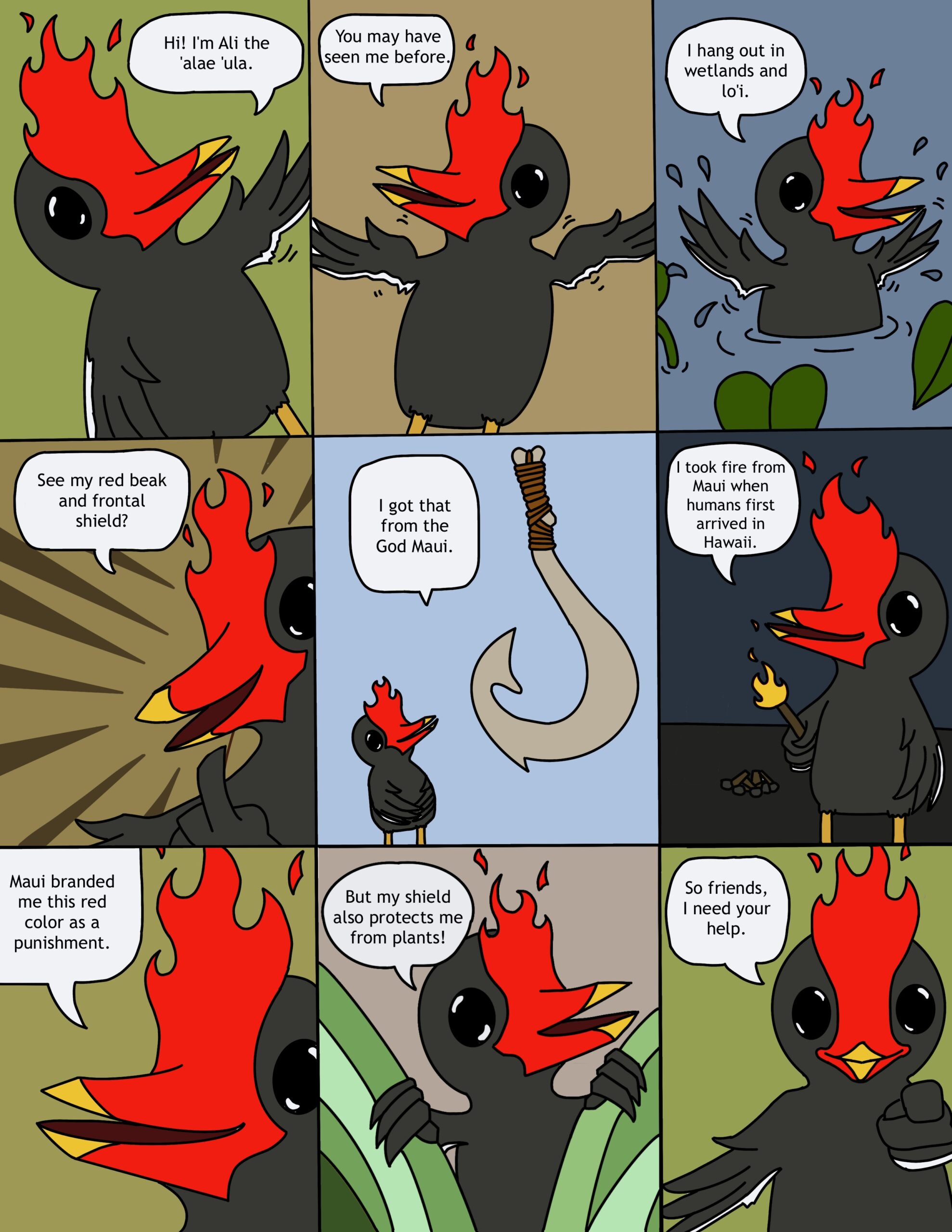 ʻAlae ʻula cartoon by Callum Raine