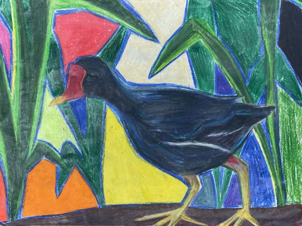 This image is a scanned copy of artwork depicting the ʻalae ʻula bird.