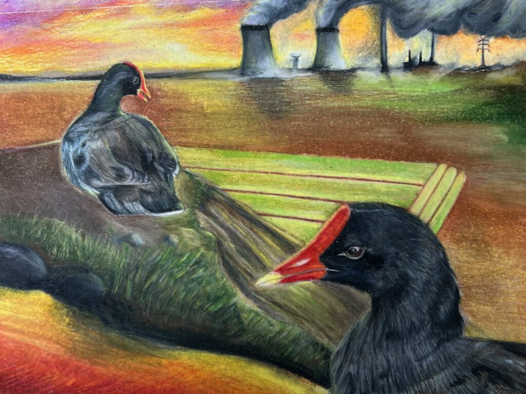 This image is a scanned copy of artwork depicting the ʻalae ʻula bird.