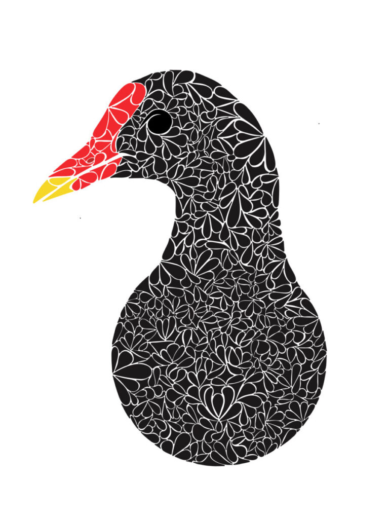 This image is a scanned copy of artwork depicting the ʻalae ʻula bird.