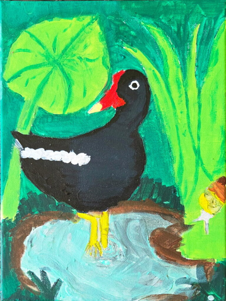 This image is a scanned copy of artwork depicting the ʻalae ʻula bird.