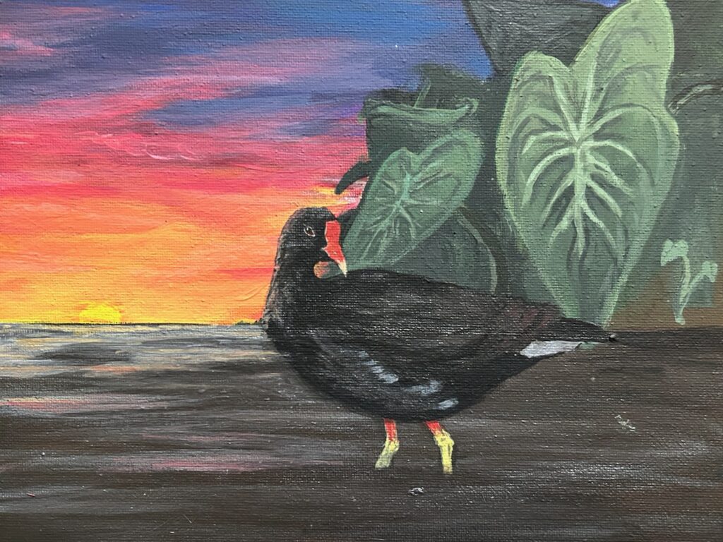 This image is a scanned copy of artwork depicting the ʻalae ʻula bird.