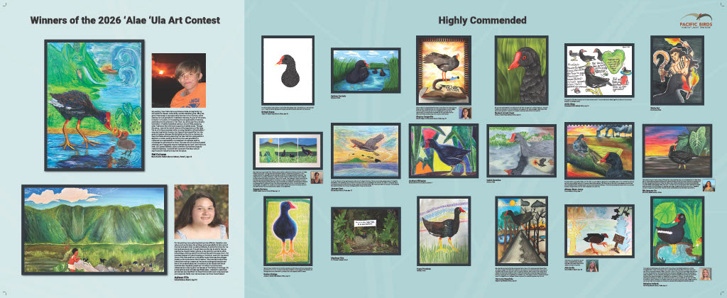 Art_Contest_Banner-Finalists