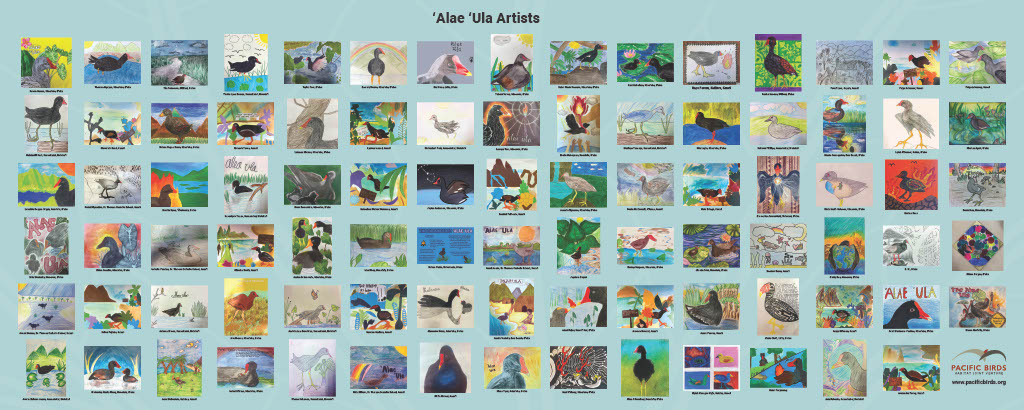 Art_Contest_Banner-NonFinalists