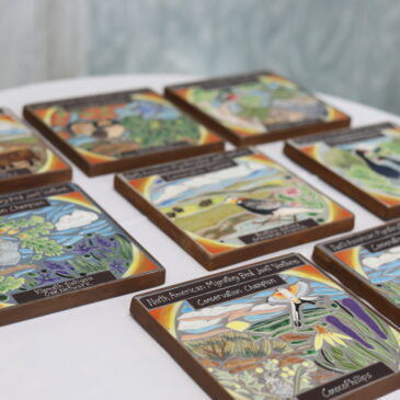 This image shows conservation champion awards at the Celebration of Partnerships Reception.