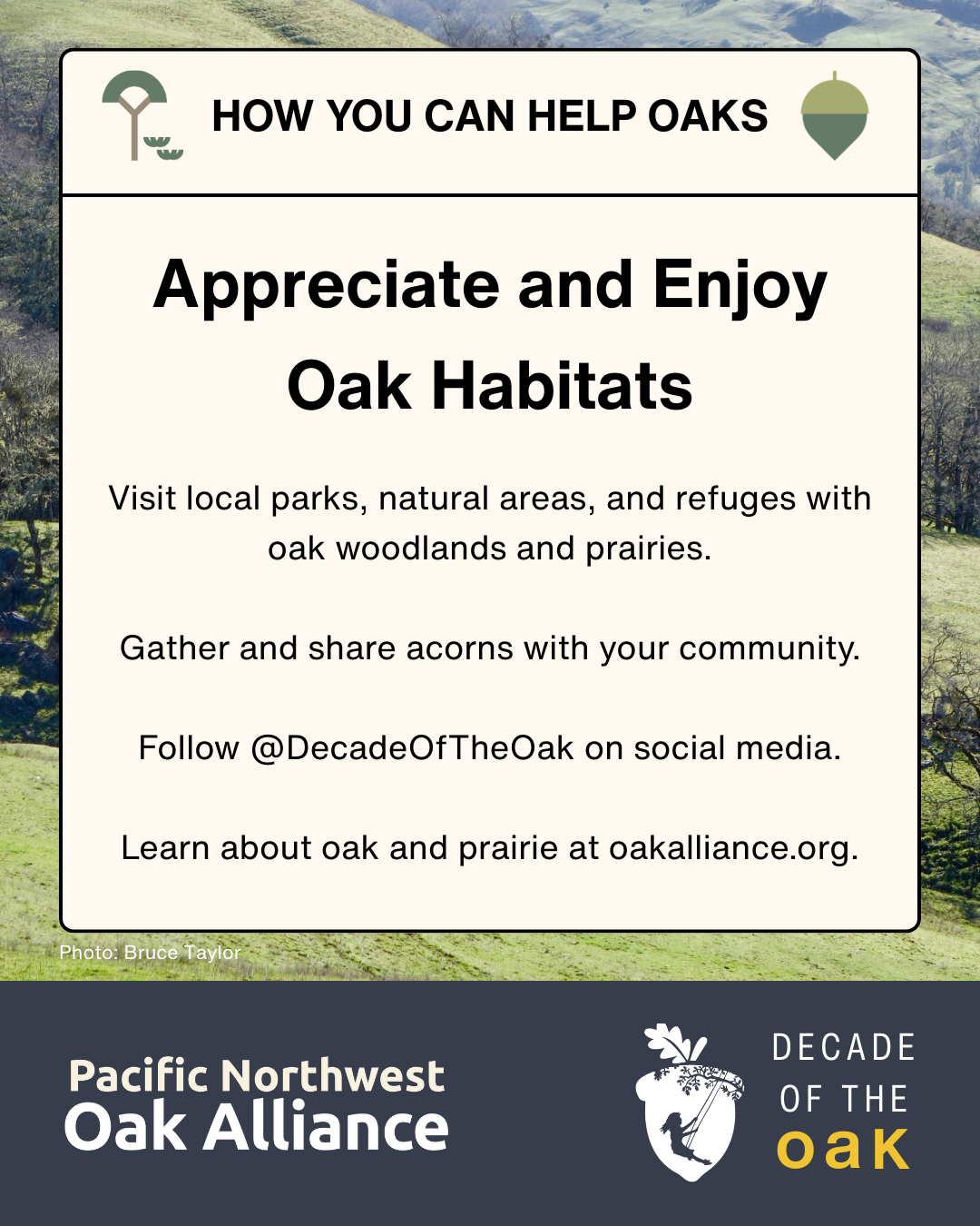 This infographic encourages people to appreciate and enjoy oak habitats and has logos for the Pacific Northwest Oak Alliance and for Decade of the Oak.