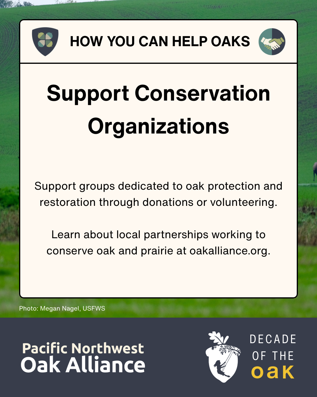 This infographic encourages people to support conservation organizations and has logos for the Pacific Northwest Oak Alliance and for Decade of the Oak.