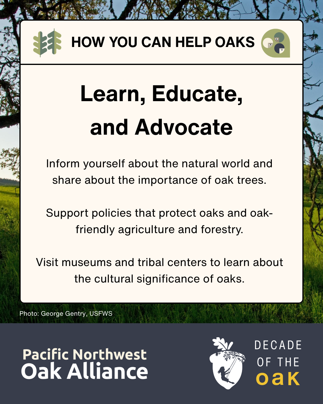 This infographic encourages people to learn about oaks and has logos for the Pacific Northwest Oak Alliance and for Decade of the Oak.