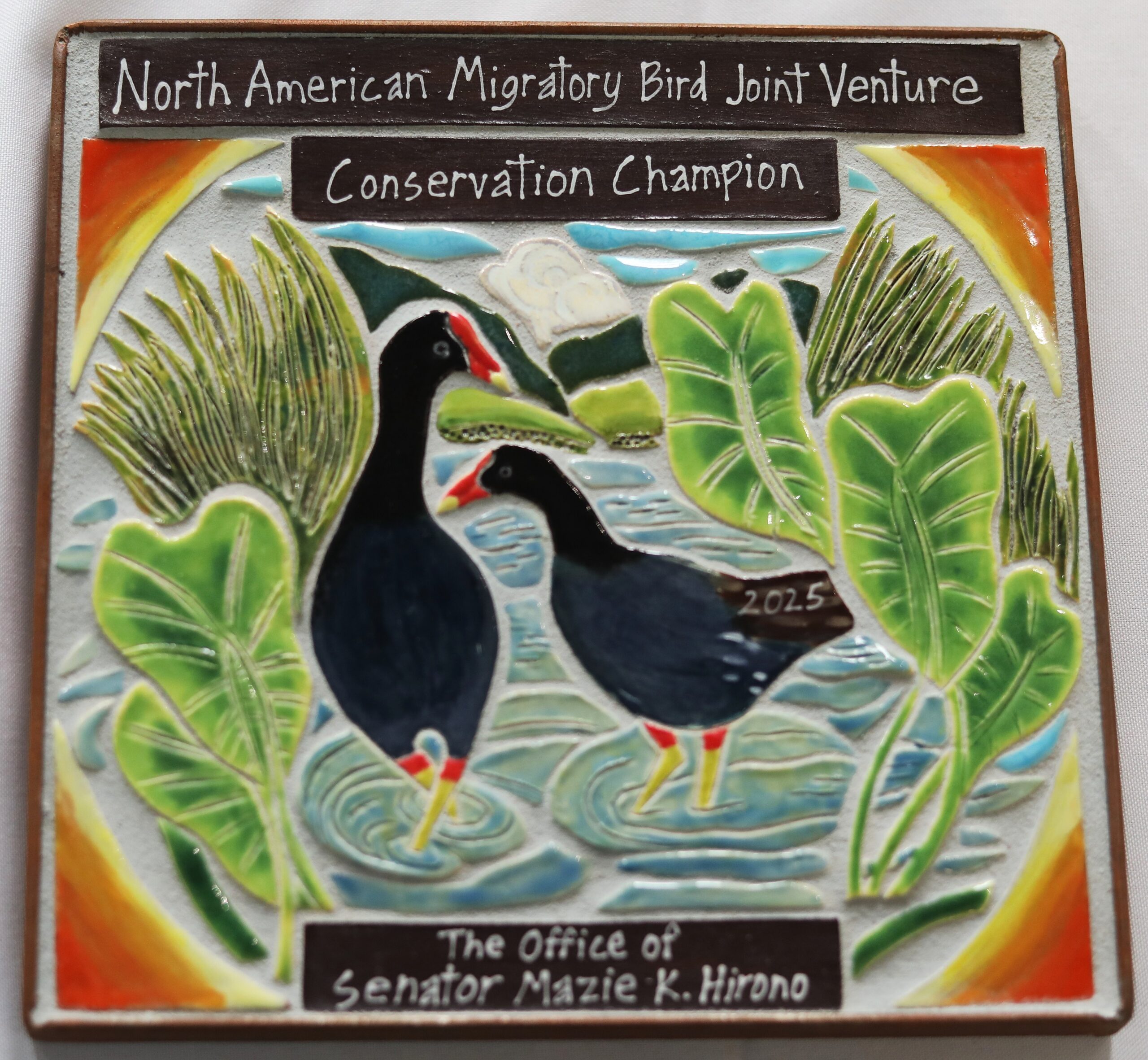 A handmade award recognizes the office of Senator Hirono as a Conservation Champion.