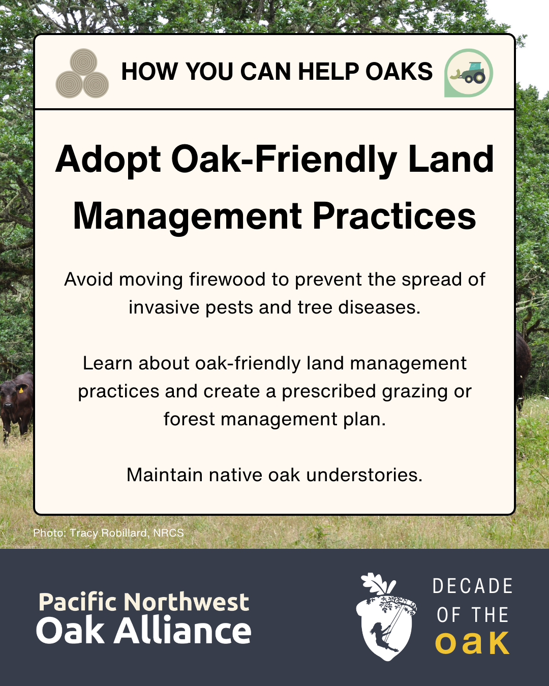 This infographic encourages people to adopt oak-friendly land management practices and has logos for the Pacific Northwest Oak Alliance and for Decade of the Oak.