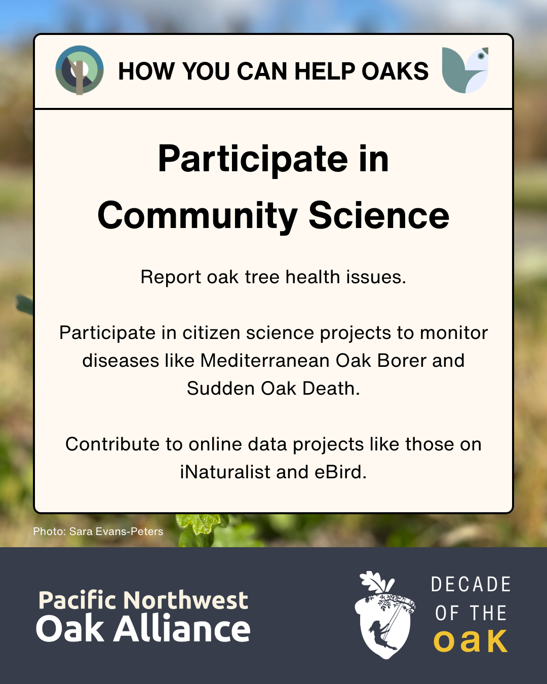 This infographic encourages people to participate in community science and has logos for the Pacific Northwest Oak Alliance and for Decade of the Oak.