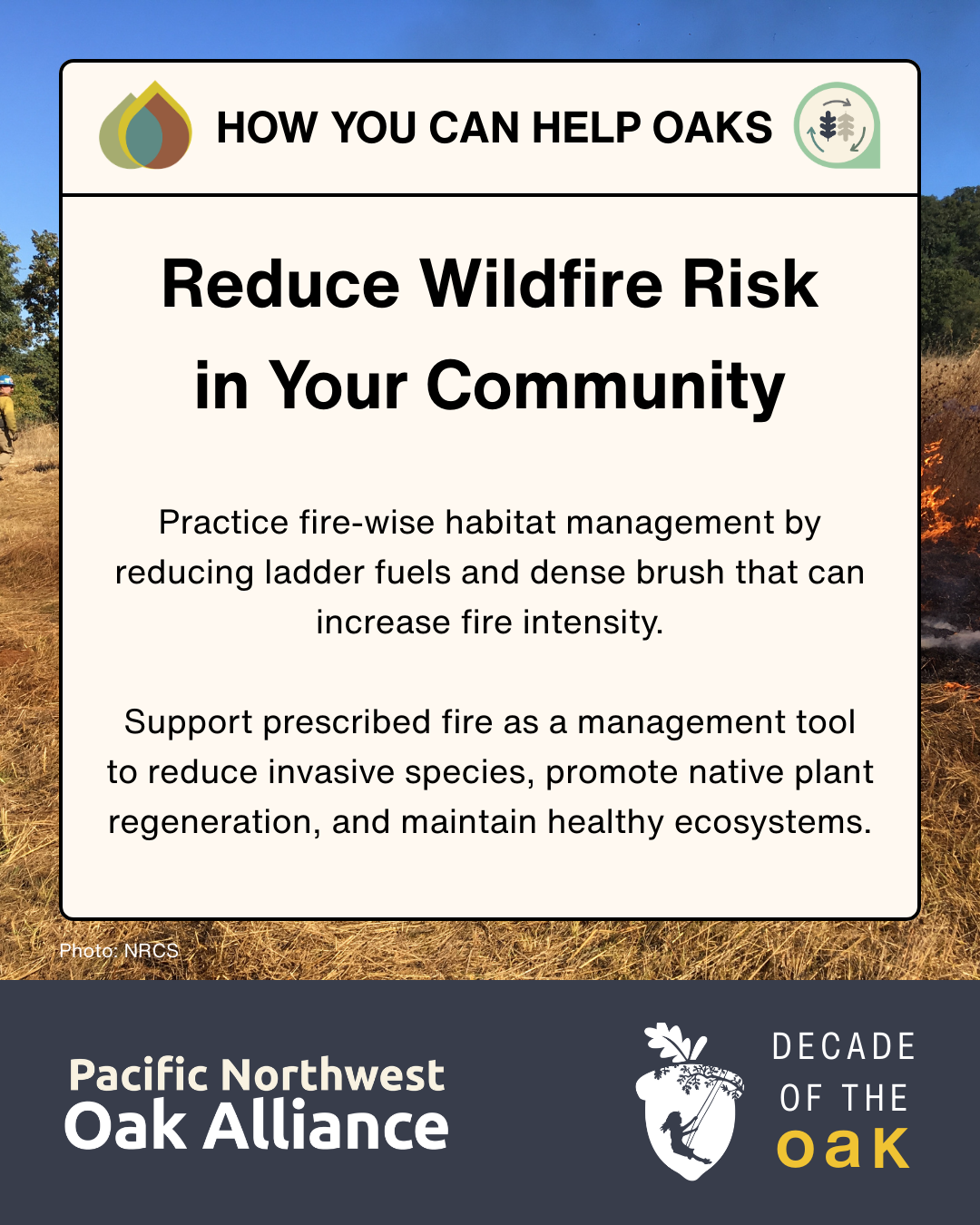 This infographic encourages people to reduce wildfire risk in their communities and has logos for the Pacific Northwest Oak Alliance and for Decade of the Oak.