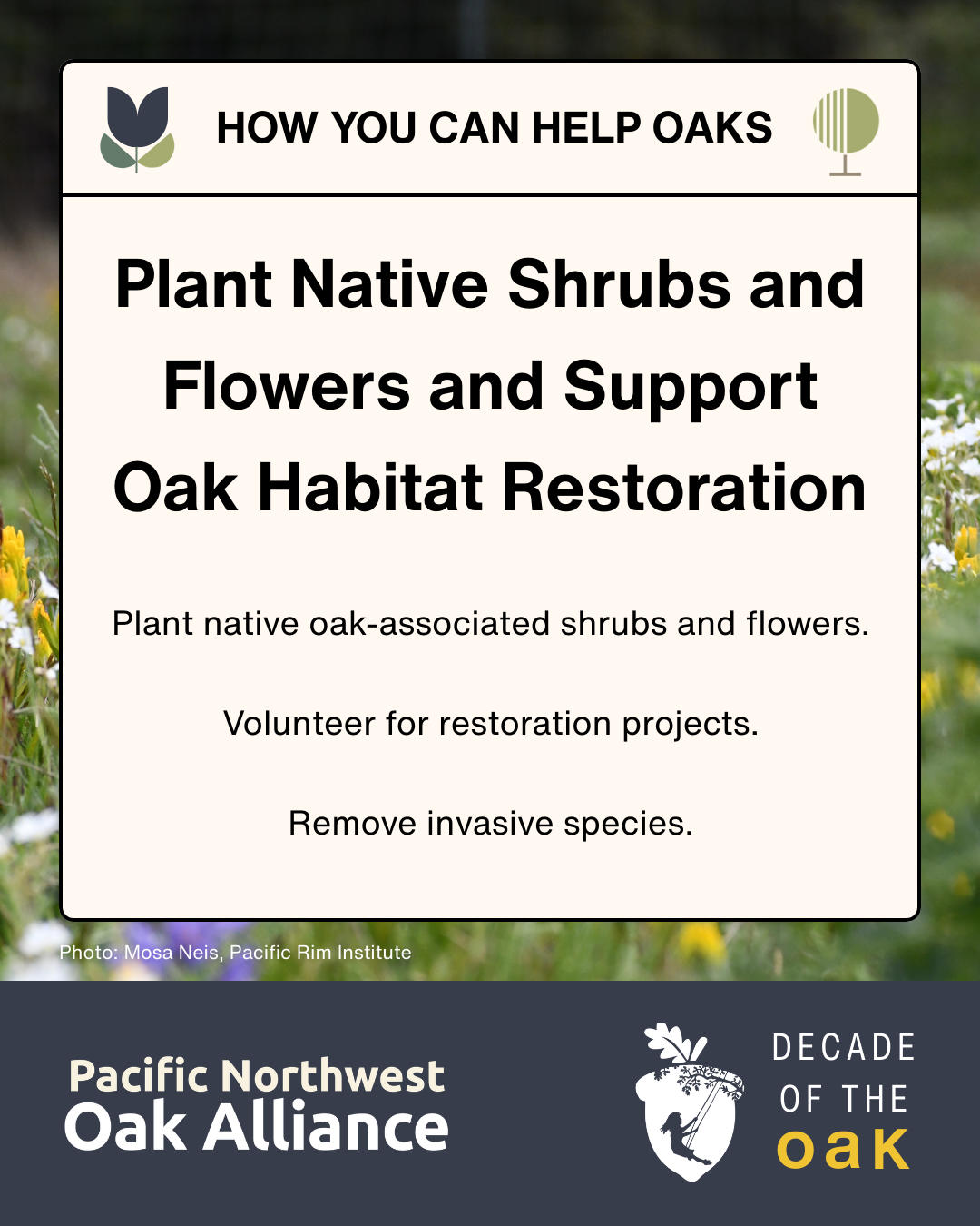 This infographic encourages people to plant native species and support oak restoration and has logos for the Pacific Northwest Oak Alliance and for Decade of the Oak.