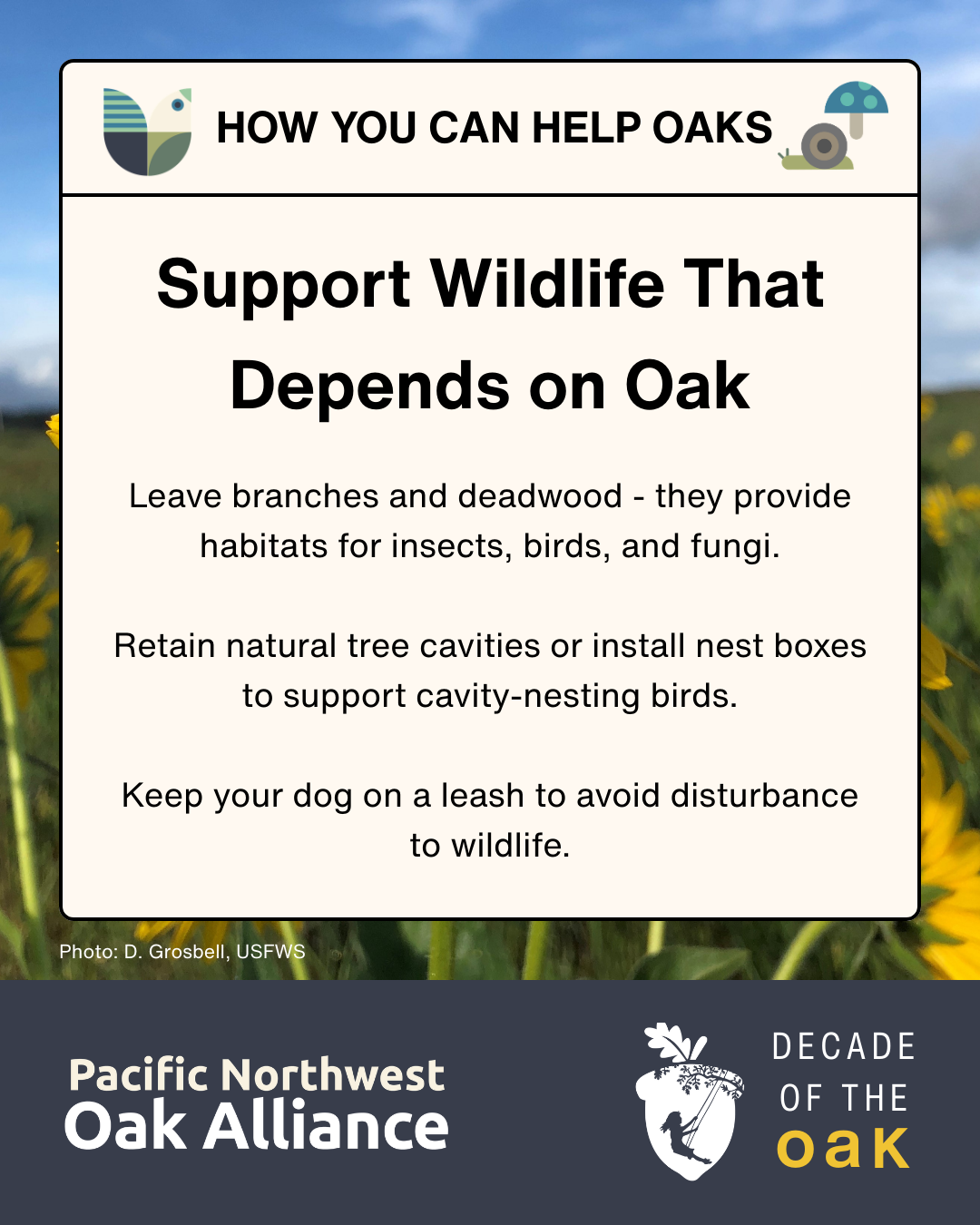 This infographic encourages people to support wildlife that depends on oaks and has logos for the Pacific Northwest Oak Alliance and for Decade of the Oak.