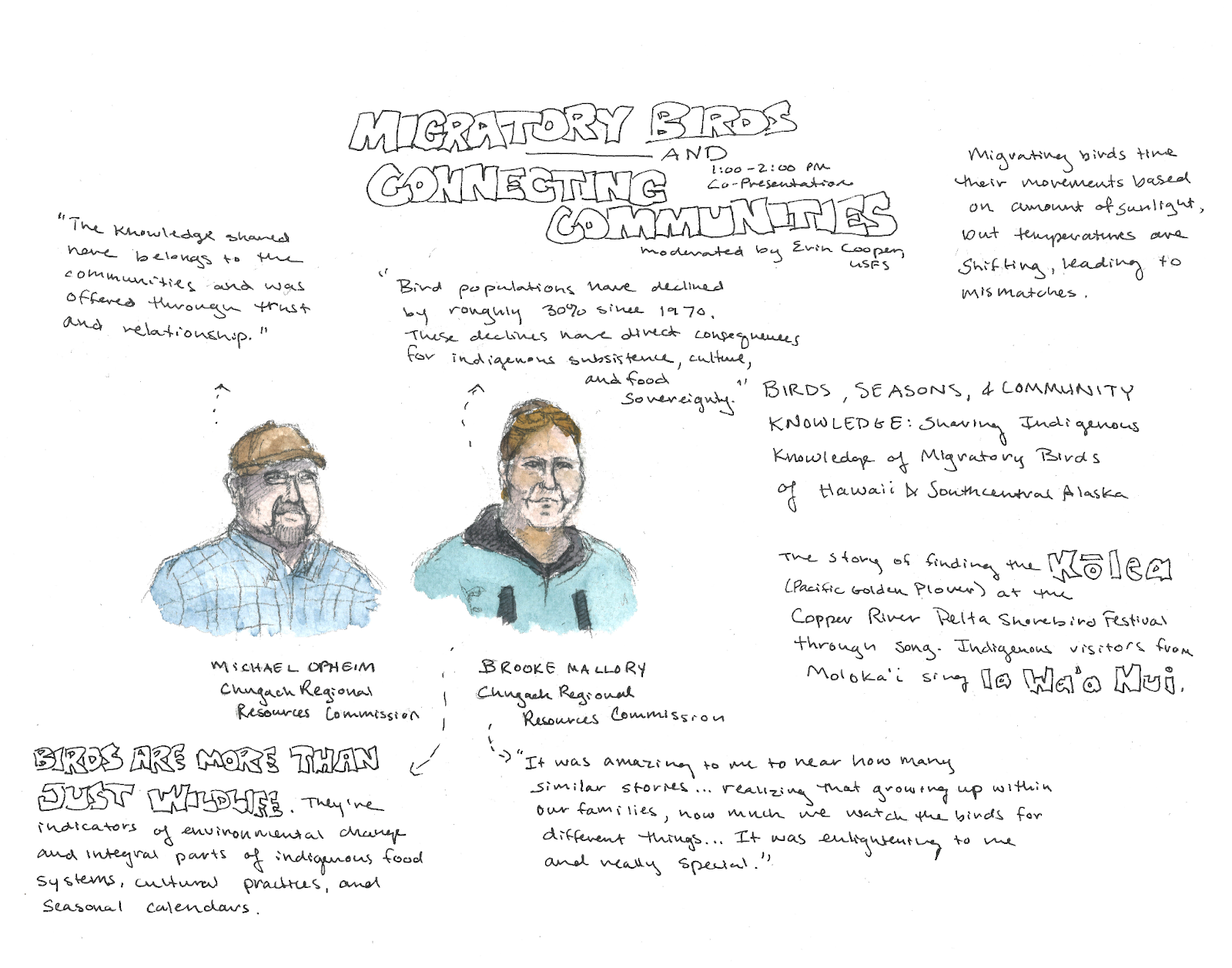 This snapshot shows visual notes painted during the Cordova Science Gathering.