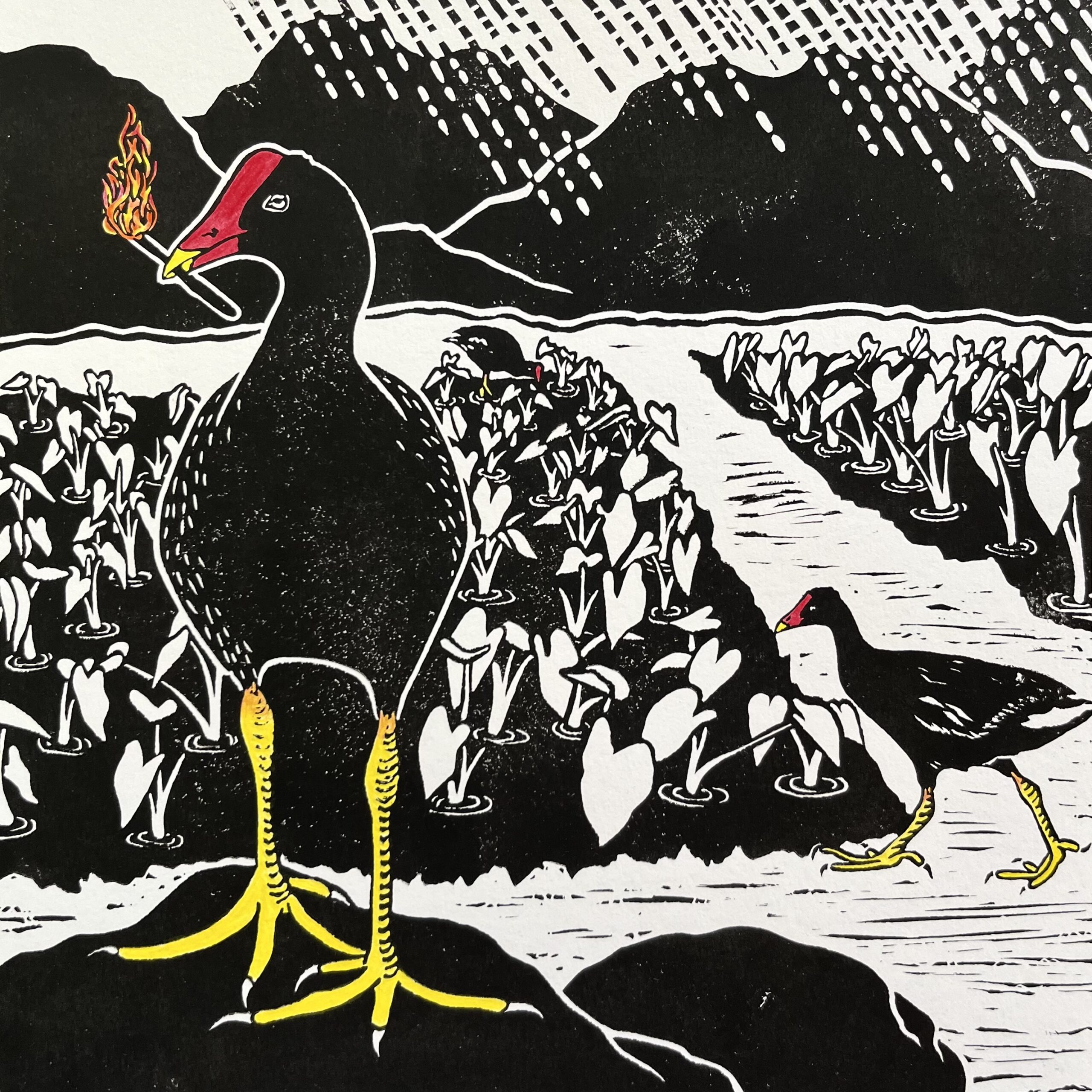 The image shows an original block print of a Hawaiian common gallinule carrying fire in its mouth and standing in a taro field.