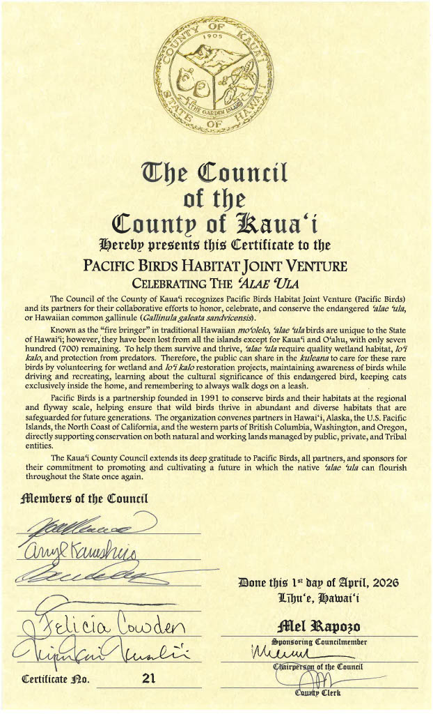 This certificate from the Council of the County of Kauaʻi was given to Pacific Birds Habitat Joint Venture on April 1, 2026 in recognition of our work to honor, celebrate, and conserve the endangered ʻalae ʻula.