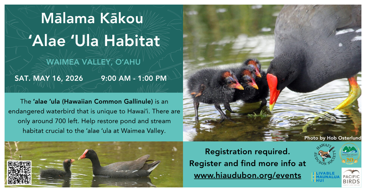 This infographic describes a habitat restoration event in the Waimea Valley, Oahu on May 16 from 9:00am to 1:00pm.