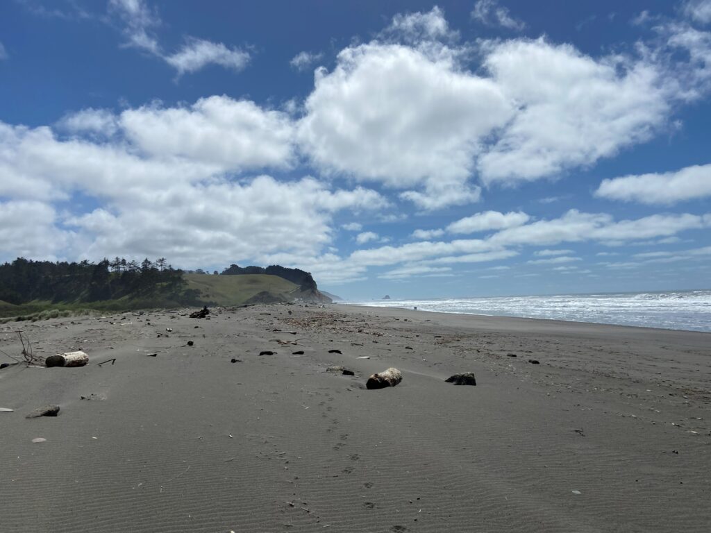This image shows a California beach.