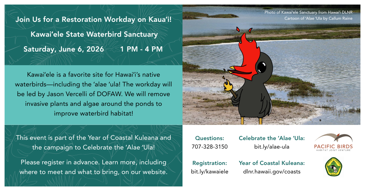 This infographic shares information for a restoration workday Kawaiʻele State Waterbird Sanctuary on June 6.