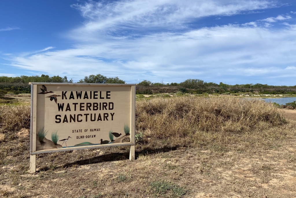Kawaiele-State-Waterbird-Sanctuary-2 This photo shows the entrance sign for Kawaiʻele State Waterbird Sanctuary.