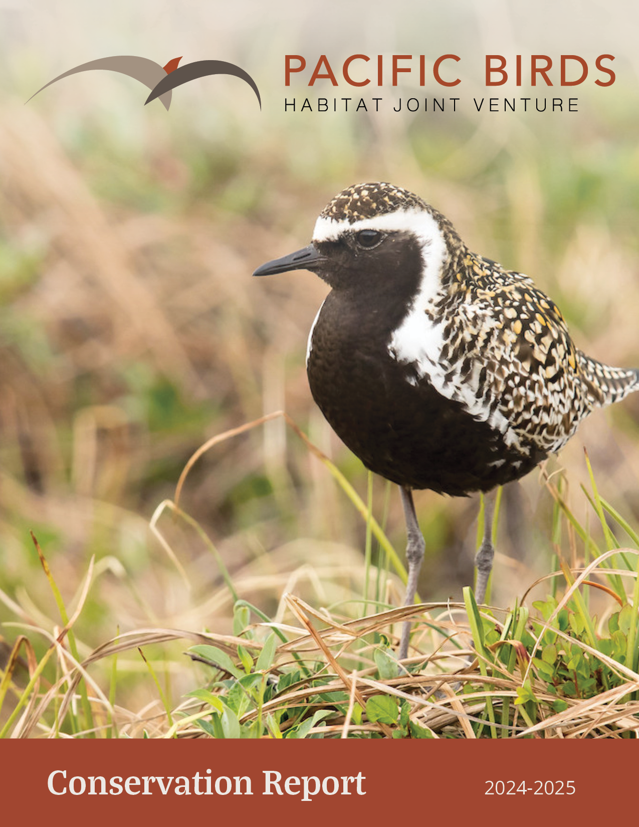 Pacific Birds 2024-2025 Report COVER image