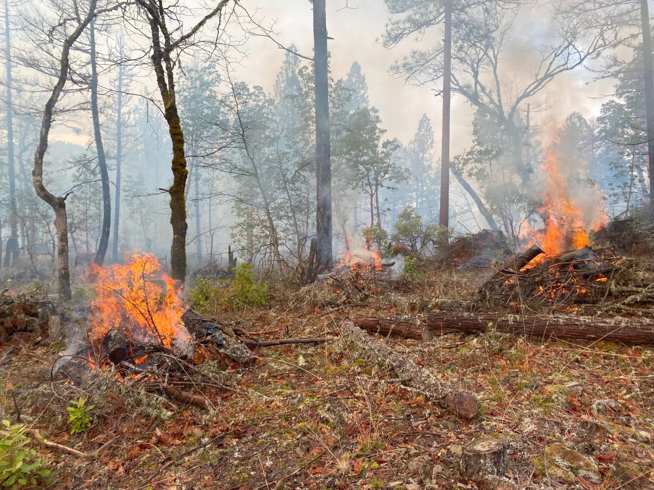 LRP Fire LRP Fire