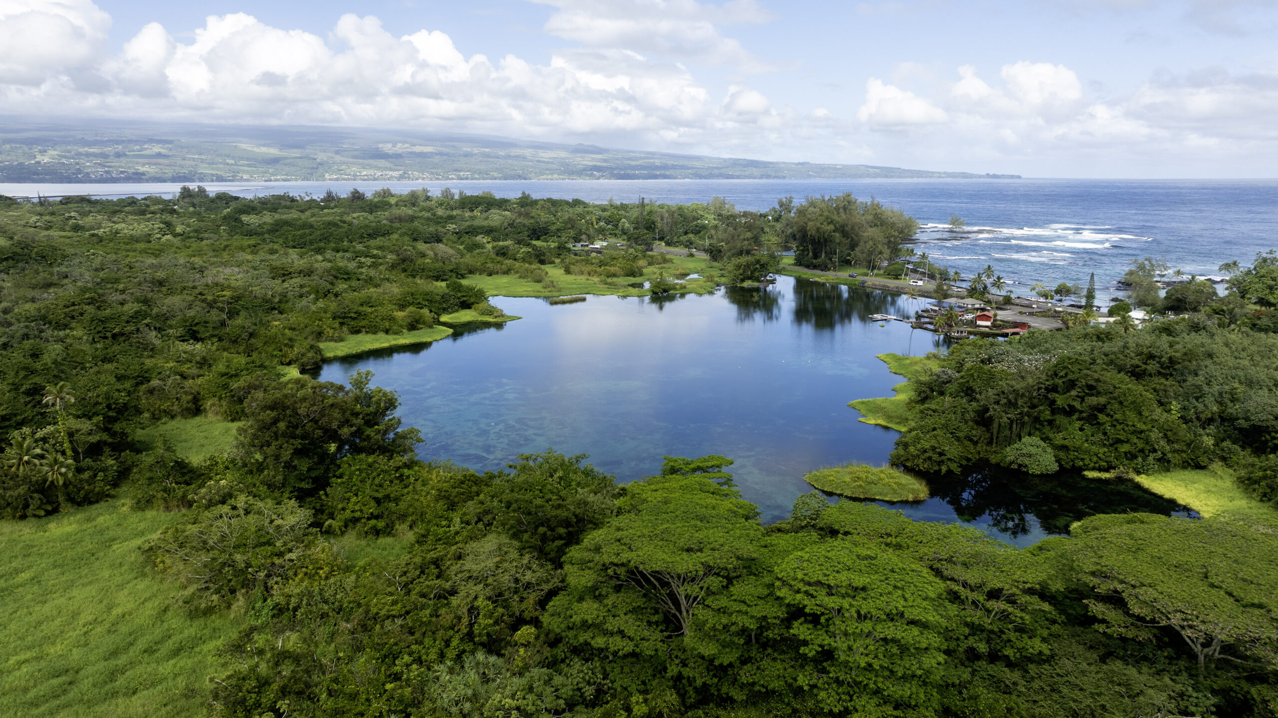 Lokowaka Pond Complex The Lokowaka Pond complex covers 51 acres near Hilo on Hawaiʻi Island. Credit: ʻĀina Hoʻōla Initiative.