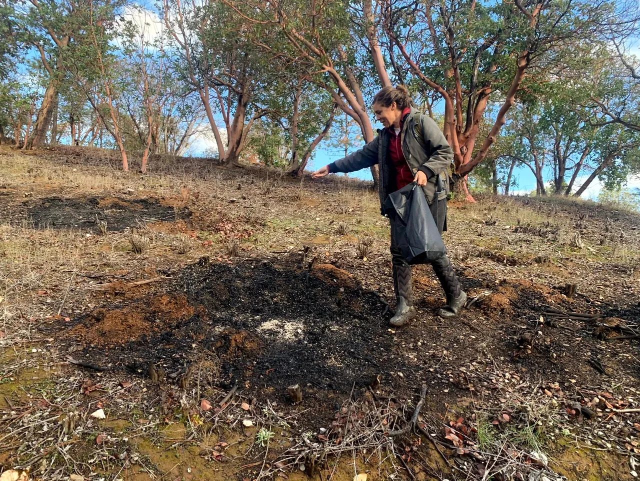 TUI Reseeding TUI Reseeding