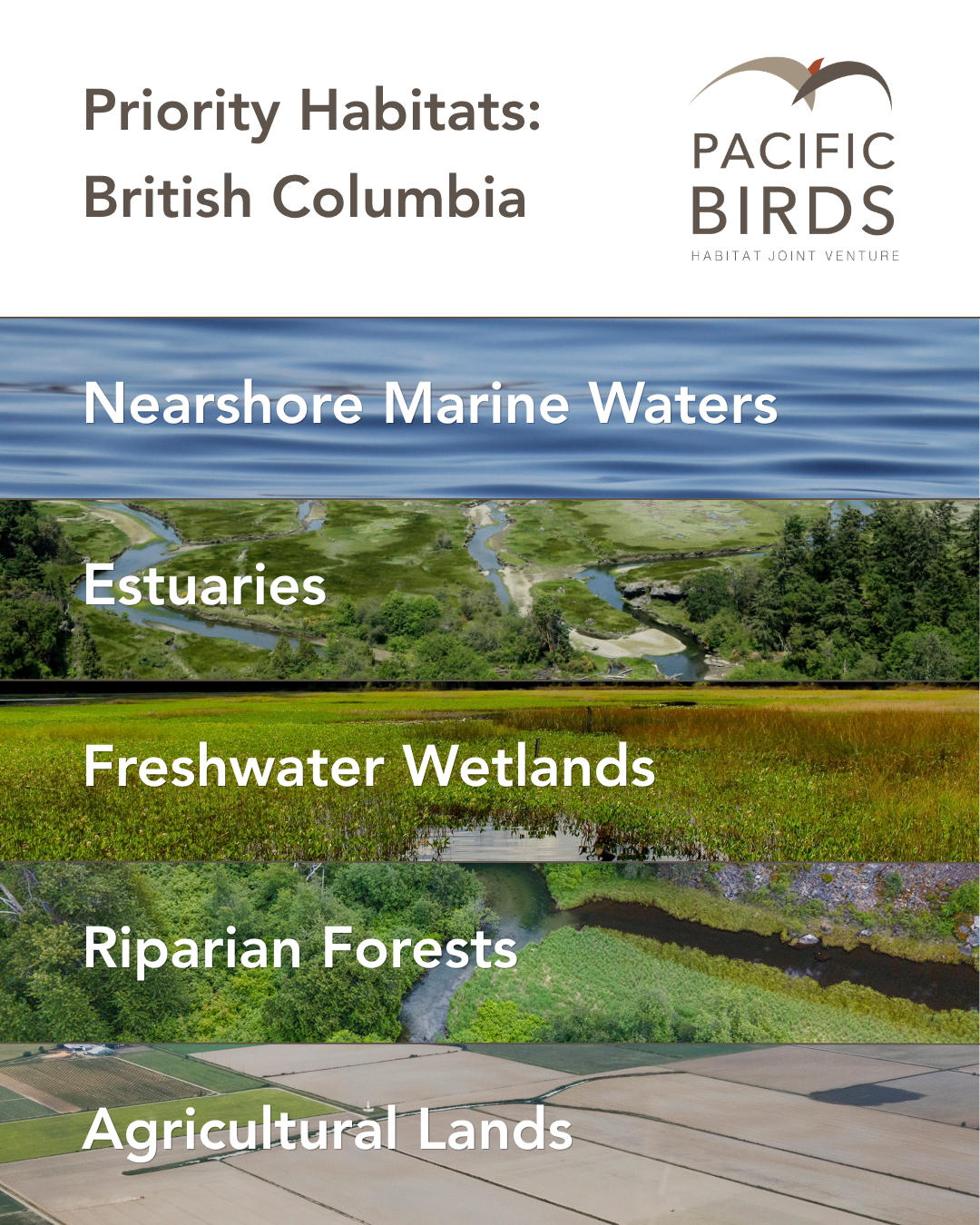 BC Birds and Conservation Areas - PBHJV Priority Habitats