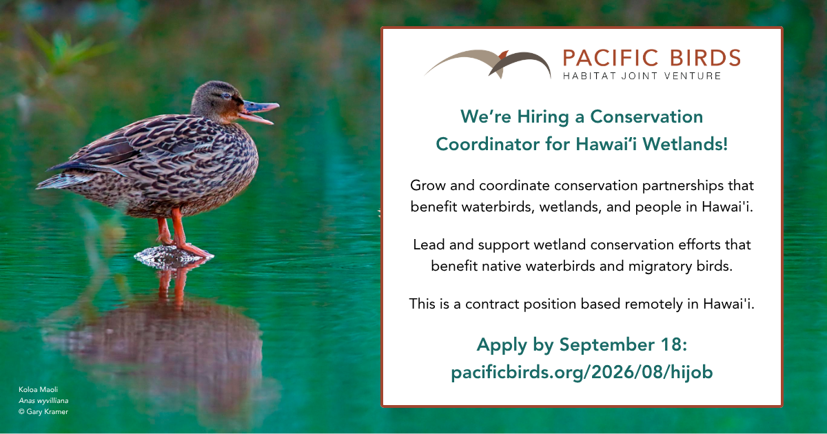Hawaii-Job_Newsletter This infographic shows a Hawaiian Duck and shares more information about the Hawaii Wetlands Conservation Coordinator position.