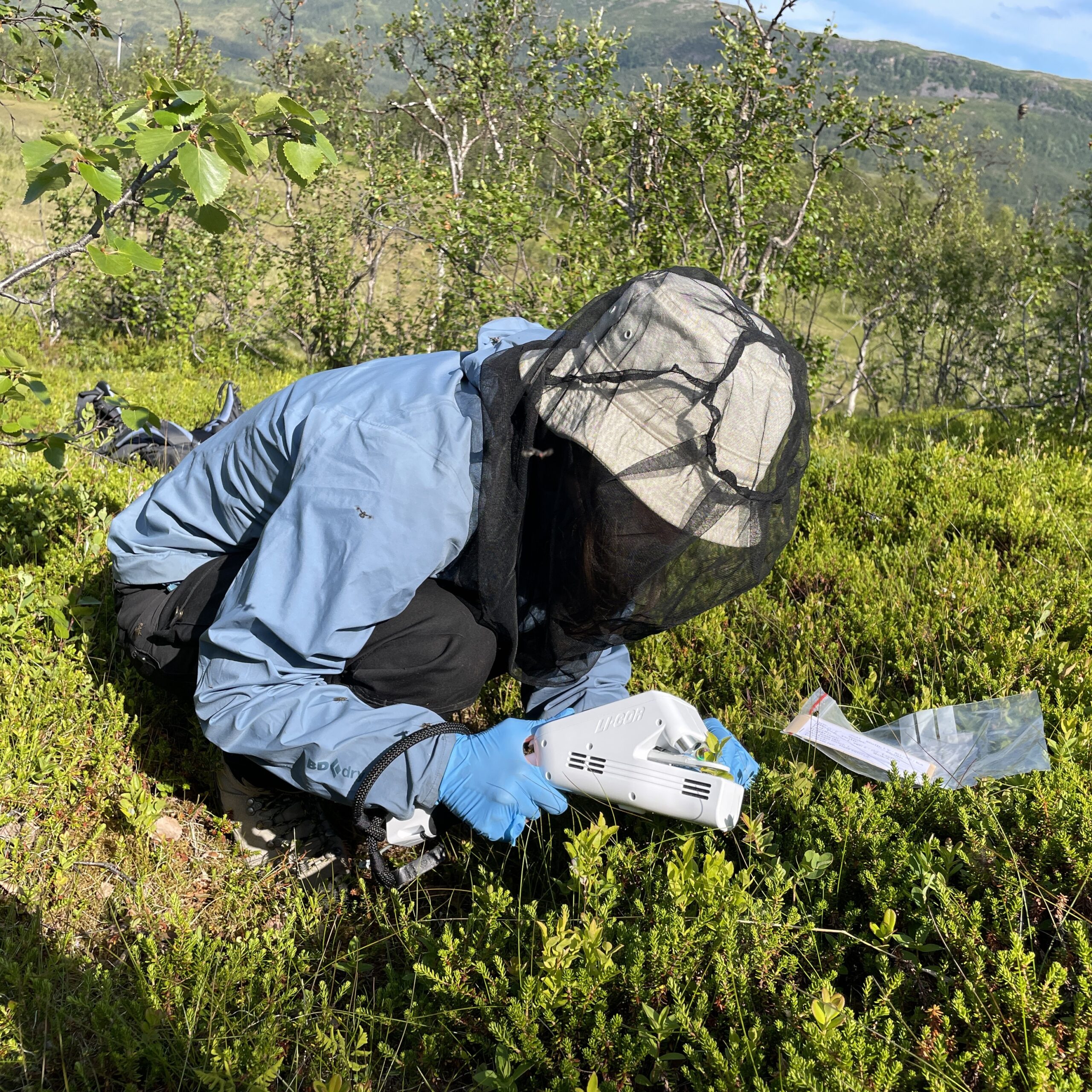 Nicole Bison conducting field work in Arctic Norway.