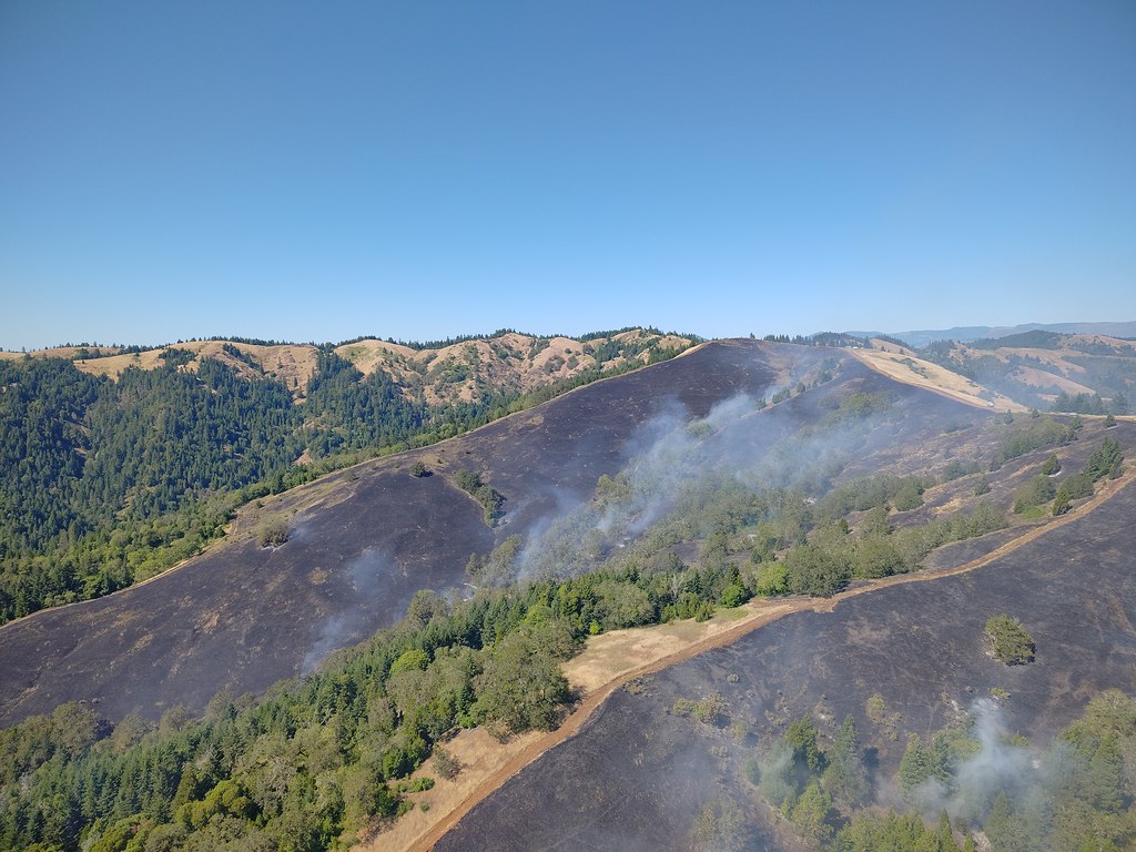 Prescribed Burn North Bank Prescribed burn at North Bank in 2026. Credit: Roseburg BLM,