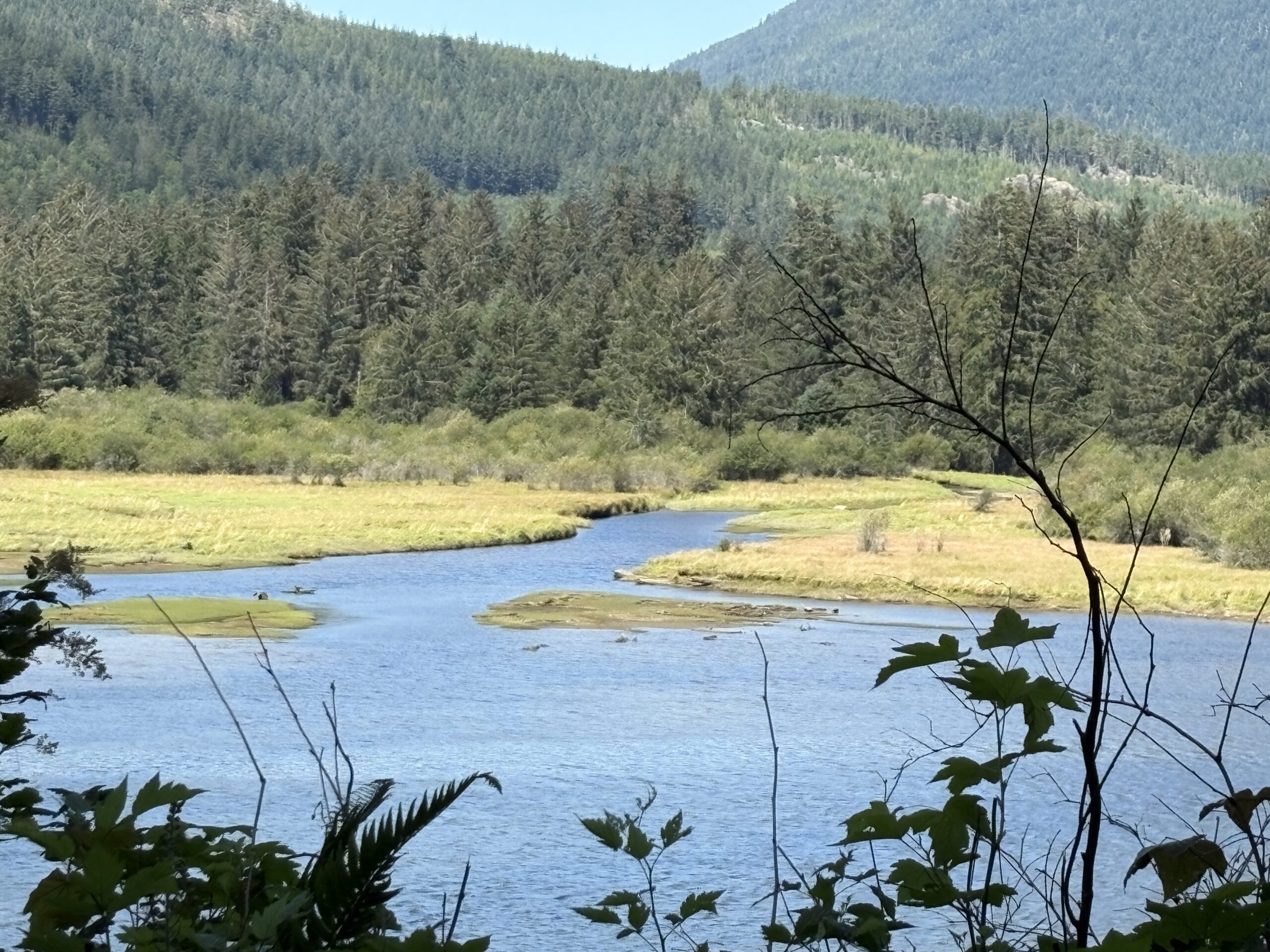 Lower Toqwanen Estuary