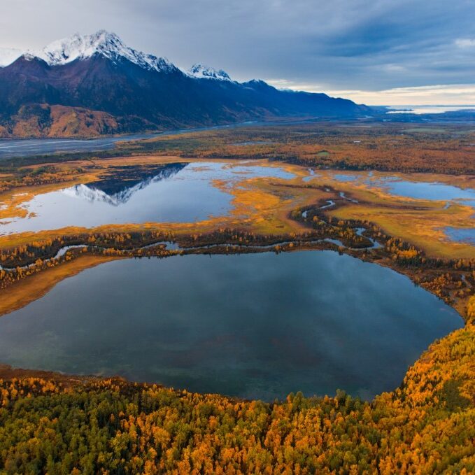 Great Land Trust secured important coastal wetlands in Alaska.