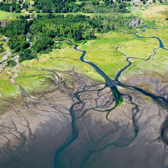 Quilcene Bay, Washington<br>Photo - Washington State Department of Ecology