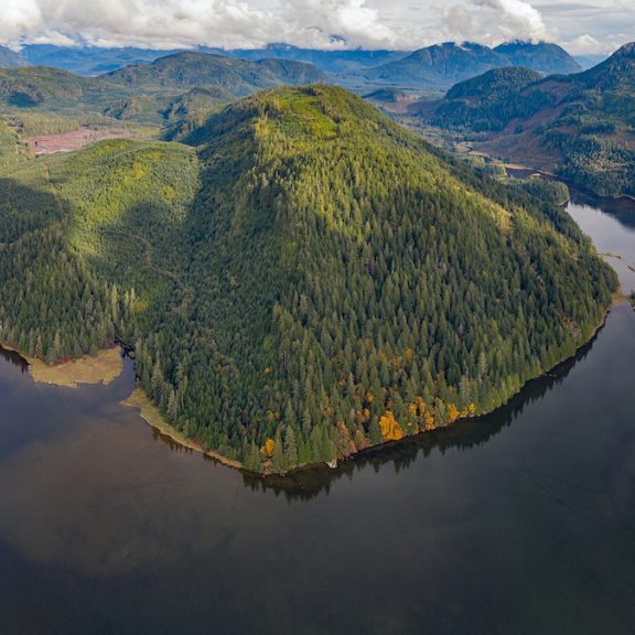 The Fulmore/Shoal Creek Estuary Complex in British Columbia<br>© The Nature Trust of British Columbia
