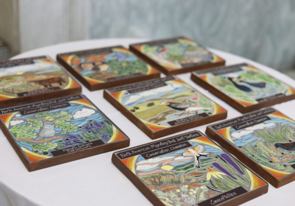 This image shows conservation champion awards at the Celebration of Partnerships Reception.