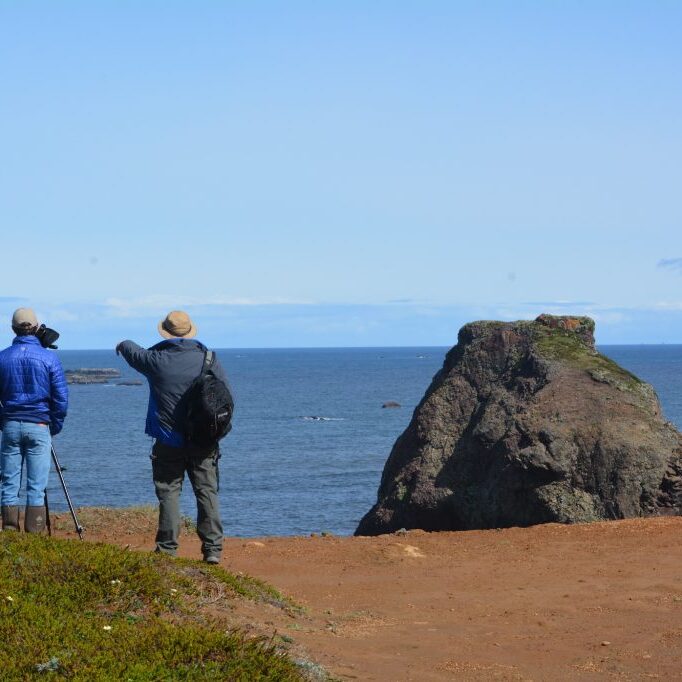 Looking for Black Oystercatchers on the Oregon coast. <br> © Joe Liebezeit