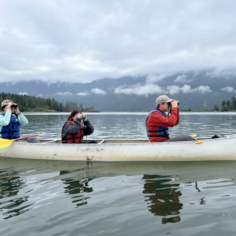 Birders peer through binoculars while in a canoe. Photo: Laura Farwell
