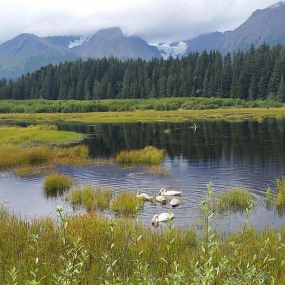 Photo - Antonia Fowler