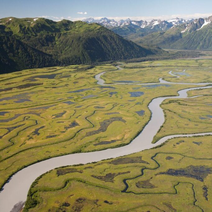 Copper River Delta, Cordova, Alaska USFS