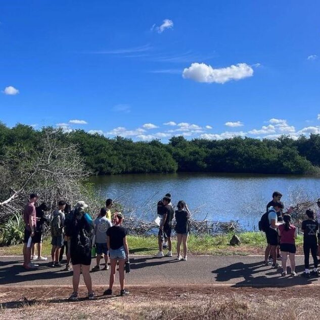 The Project Coordinator asking discussion questions about native birds. Students are conversing and preparing to answer discussion questions.
Credit: Hui o Hoʻohonua